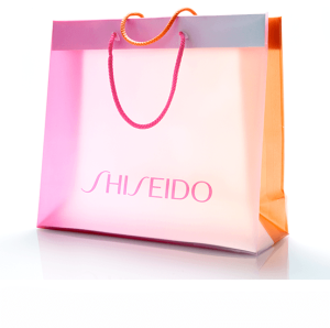 Shisiedo gift packaging