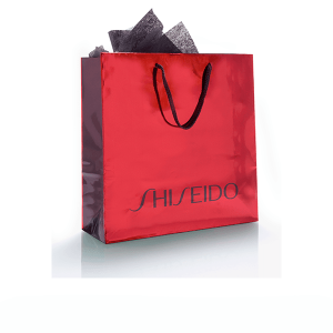 Shisiedo holiday packaging